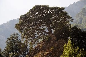 mantiuk_7759.jpg