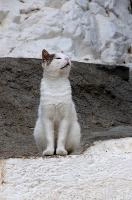 mantiuk_8950.jpg