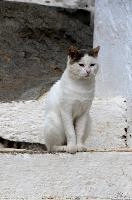 mantiuk_8953.jpg