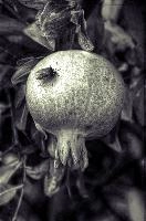mantiuk_9518hst.jpg