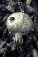 mantiuk_9521hst.jpg