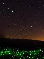 dsc_169195_o-dsc_169210a.jpg