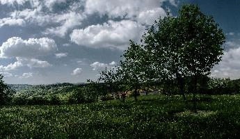 dsc_169700-dsc_169712.jpg