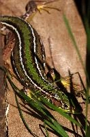 dsc_3067.jpg