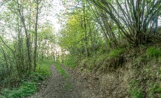 mantiuk_168936-mantiuk_168945.jpg