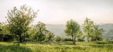 mantiuk_169063-mantiuk_169083.jpg