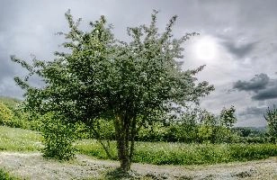 mantiuk_170927-mantiuk_170937.jpg