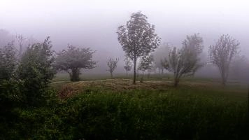 mantiuk_2531-mantiuk_2543.jpg
