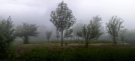 mantiuk_2549-mantiuk_2561.jpg