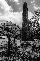 mantiuk_2639bw.jpg