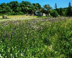 mantiuk_2708-mantiuk_2714.jpg