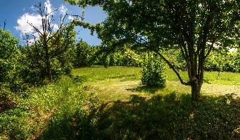 mantiuk_2902-mantiuk_2911.jpg