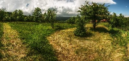 mantiuk_2935-mantiuk_2947.jpg