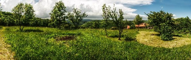 mantiuk_2950-mantiuk_2971.jpg