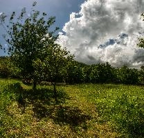 mantiuk_2974-mantiuk_2989.jpg