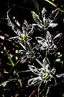 mantiuk_3119dr.jpg