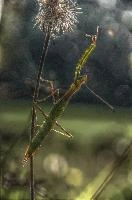 mantiuk_8562.jpg