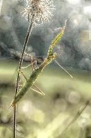 mantiuk_8571.jpg