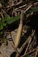 mantiuk_9886.jpg