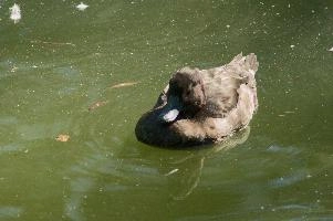 dsc_175764.jpg