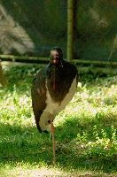 dsc_175780.jpg