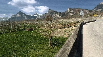 Alive with the Sound of Music, alvier, rural, switzerland, graubünden, gonzen, maienfeld, ellhorn, village