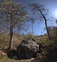 Boulder in woods near Maienfeld, outdoors, switzerland, europe