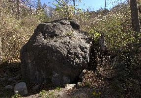 Boulder in woods near Maienfeld, outdoors, switzerland, europe