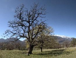 dse_001324-dse_001327.jpg