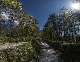 Dry Gulch, null