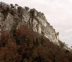Autumn woods in Maienfeld, Switzerland, null