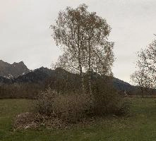 Landscape in Maienfeld, Switzerland, null