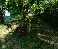 Bench on the Bodensee, lake, meersburg, shore, bodensee, deutschland, constance, bench