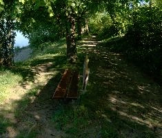 Bench on the Bodensee, lake, meersburg, shore, bodensee, deutschland, constance, bench