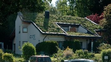 Green Roof, meersburg, planted, roof, bodensee, deutschland, hotel, green