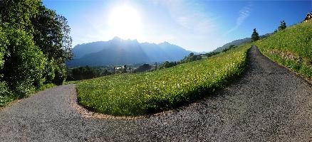 Spring meadows on the Gonzen, Sargans, null