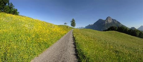 The Gonzen, prominent Swiss alpine peak near Sargans, Sankt Gallen, in the Rhine Valley, rocky, peak, scenery, gonzen, panorama, gallen, view, sankt, switzerland, sargans, europe, alpine, valley, mountains, rhine, alps, mountain, swiss, stone