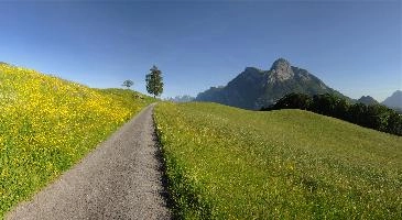 The Gonzen, prominent Swiss alpine peak near Sargans, Sankt Gallen, in the Rhine Valley, rocky, peak, scenery, gonzen, panorama, gallen, view, sankt, switzerland, sargans, europe, alpine, valley, mountains, rhine, alps, mountain, swiss, stone