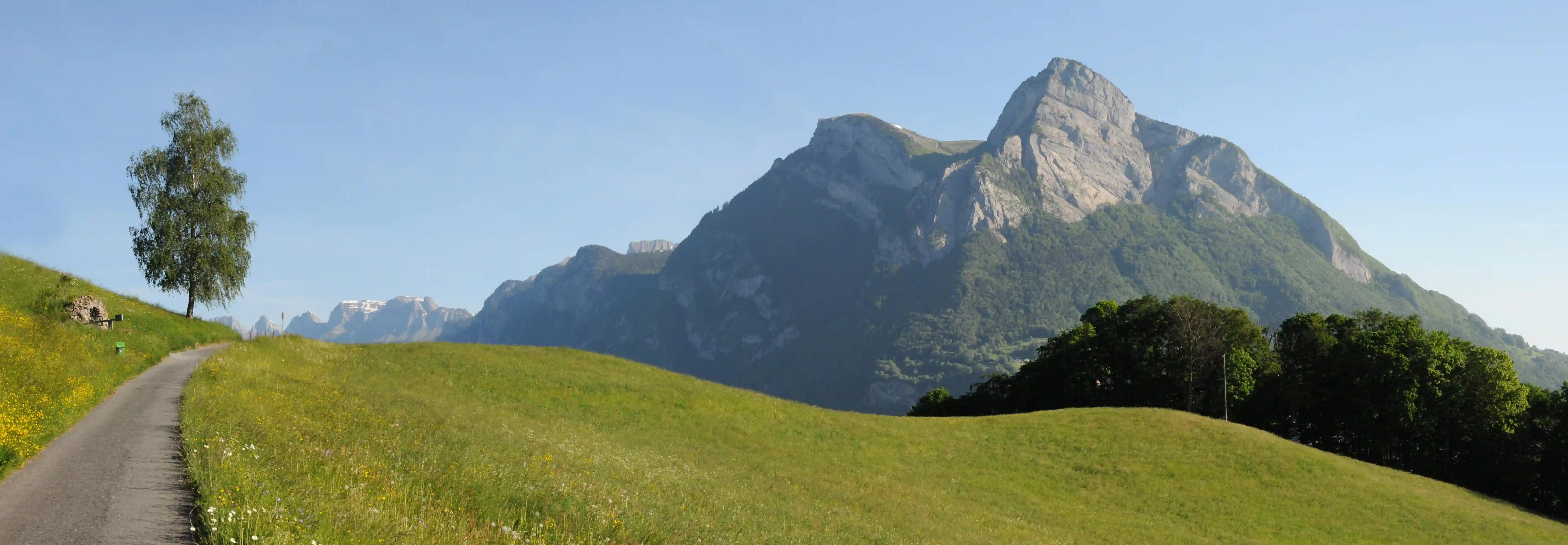 The Gonzen, prominent Swiss alpine peak near Sargans, Sankt Gallen, in the Rhine Valley, rocky, peak, scenery, gonzen, panorama, gallen, view, sankt, switzerland, sargans, europe, alpine, valley, mountains, rhine, alps, mountain, swiss, stone