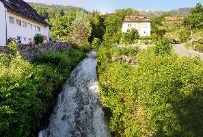 Stream in Mels, Switzerland, null