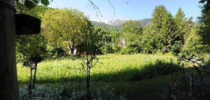 Meadow in Mels, Switzerland, null
