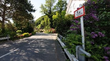 Country lane in Mels, Switzerland, null
