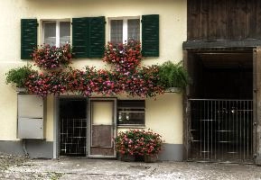 Geraniums, alpine, flums, mountains, alps, yard, summer, potted, switzerland, far, sargans, farmyard, outdoors, shutters, house, windows, doorway, barn, window boxes, daylight, swiss, building, farmhouse, geraniums, flowers