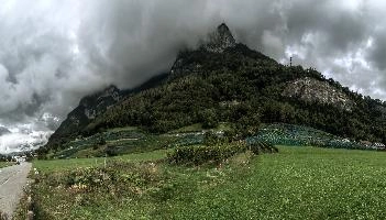 Gonzen at Heiligkreuz, vineyard, vineyards, weinberg, outdoors, hillside, alpine, walking, heiligkreuz, alps, sargans, agriculture, tourism, switzerland, green, mels, growth, slope, wine, hiking, vines, summer, swiss, viticulture, serried, rows