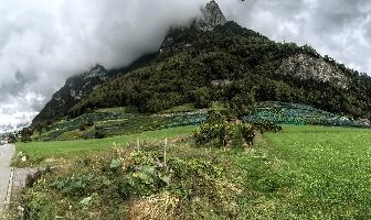 Heiligkreuz Weinberg, vineyard, vineyards, weinberg, outdoors, hillside, alpine, walking, heiligkreuz, alps, sargans, agriculture, tourism, switzerland, green, mels, growth, slope, wine, hiking, vines, summer, swiss, viticulture, serried, rows