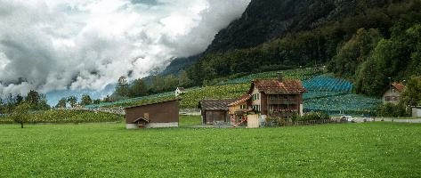 Heiligkreuz, switzerland, vineyard, weinberg, summer, hillside, outdoors, walking, vineyards, alps, heiligkreuz, agriculture, tourism, alpine, green, mels, growth, slope, wine, hiking, vines, sargans, swiss, viticulture, serried, rows