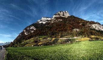 Gonzen from Heiligkreuz, mels, scenery, alps, autumn, rural, gonzen, growing, sargans, fall, switzerland, outdoors, alpine, heiligkreuz, europe, colours, swiss, bright, sunshine, produce, mountains, vineyards, agriculture, vines, yellow, green