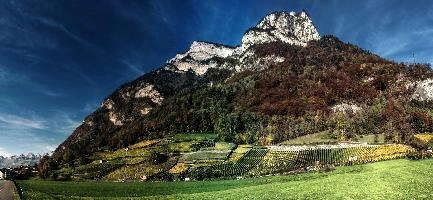 Gonzen in Autumn, mels, scenery, alps, autumn, rural, gonzen, growing, sargans, fall, switzerland, outdoors, alpine, heiligkreuz, europe, colours, swiss, bright, sunshine, produce, mountains, vineyards, agriculture, vines, yellow, green