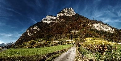 Gonzen in Autumn, mels, scenery, alps, autumn, rural, gonzen, growing, sargans, fall, switzerland, outdoors, alpine, heiligkreuz, europe, colours, swiss, bright, sunshine, produce, mountains, vineyards, agriculture, vines, yellow, green