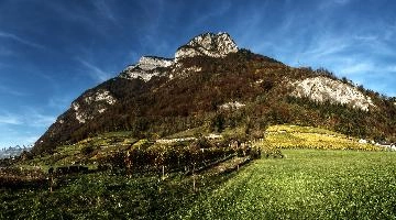 Gonzen from Heiligkreuz, mels, scenery, alps, autumn, rural, gonzen, growing, sargans, fall, switzerland, outdoors, alpine, heiligkreuz, europe, colours, swiss, bright, sunshine, produce, mountains, vineyards, agriculture, vines, yellow, green